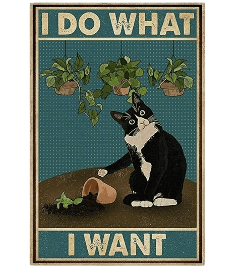 Do What I Want